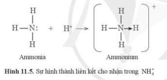  (ảnh 10)