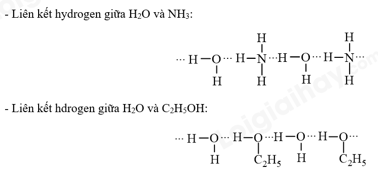  (ảnh 4)