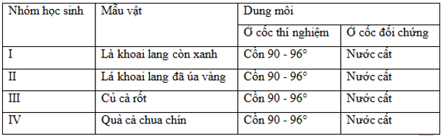 Lý thuyết Sinh học 11 Bài 8 (mới 2022 + 37 câu trắc nghiệm): Quang hợp ở thực vật (ảnh 1)