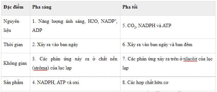 Lý thuyết Sinh học 11 Bài 9 (mới 2022 + 101 câu trắc nghiệm): Quang hợp ở các nhóm thực vật C3, C4 và CAM (ảnh 4)