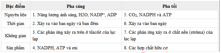 Lý thuyết Sinh học 11 Bài 9 (mới 2022 + 101 câu trắc nghiệm): Quang hợp ở các nhóm thực vật C3, C4 và CAM (ảnh 5)