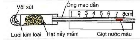 Lý thuyết Sinh học 11 Bài 12 (mới 2022 + 110 câu trắc nghiệm): Hô hấp ở thực vật (ảnh 7)