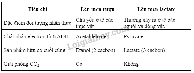 Sinh học 10 Bài 14: Phân giải và tổng hợp các chất trong tế bào | Giải Sinh 10 Kết nối tri thức  (ảnh 1)