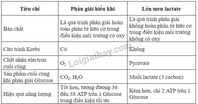 Sinh học 10 Bài 14: Phân giải và tổng hợp các chất trong tế bào | Giải Sinh 10 Kết nối tri thức  (ảnh 2)