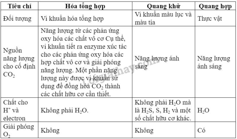 Sinh học 10 Bài 14: Phân giải và tổng hợp các chất trong tế bào | Giải Sinh 10 Kết nối tri thức  (ảnh 3)