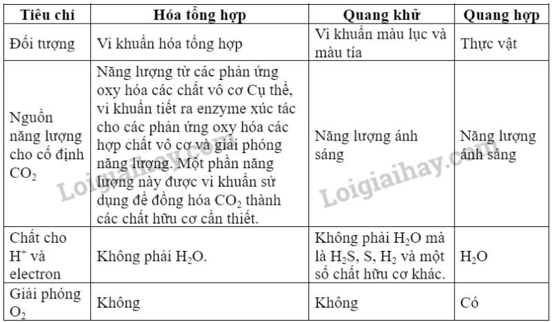 Sinh học 10 Bài 14: Phân giải và tổng hợp các chất trong tế bào | Giải Sinh 10 Kết nối tri thức  (ảnh 10)