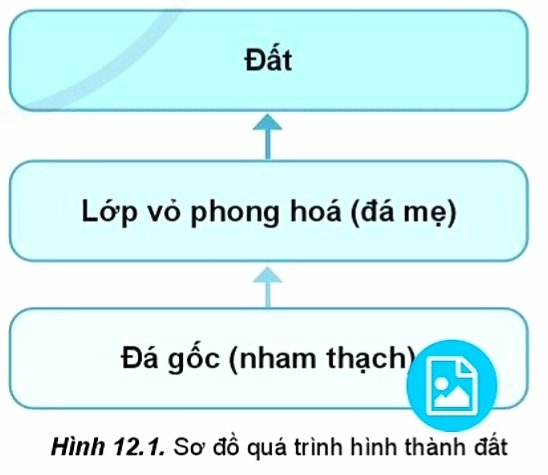 Địa Lí 10 Bài 12: Đất và sinh quyển | Cánh diều (ảnh 1)