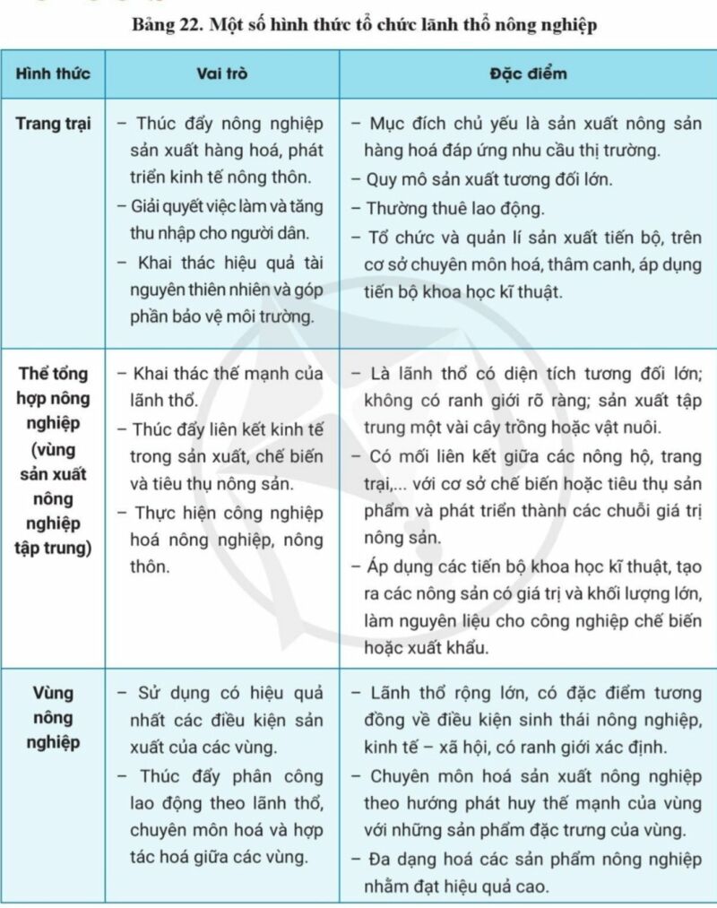 Địa Lí 10 Bài 22: Tổ chức lãnh thổ nông nghiệp | Cánh diều (ảnh 1)