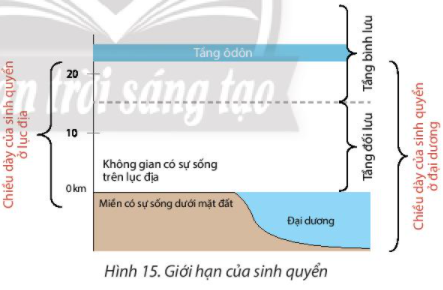 Địa Lí 10 Bài 15: Sinh quyển, các nhân tố ảnh hưởng đến sự phát triển và phân bố sinh vật | Chân trời sáng tạo (ảnh 1)