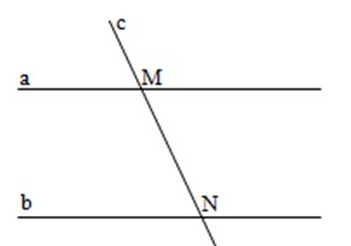 39 câu Trắc nghiệm Điểm và đường thẳng (Kết nối tri thức) có đáp án – Toán 6 (ảnh 14)