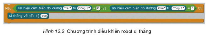 Chuyên đề Tin học 10 Bài 12: Thực hành điều khiển robot trên sa bàn - Kết nối tri thức (ảnh 1)