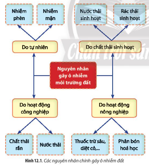 Chuyên đề Sinh học 10 Bài 12 (Chân trời sáng tạo): Công nghệ ứng dụng vi sinh vật trong xử lí ô nhiễm môi trường  (ảnh 1)