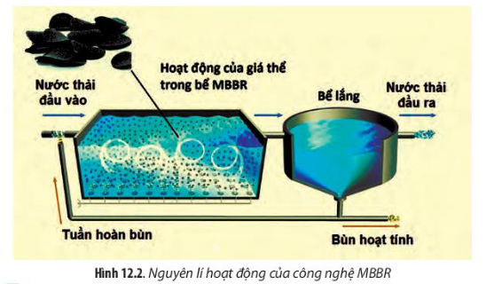 Chuyên đề Sinh học 10 Bài 12 (Chân trời sáng tạo): Công nghệ ứng dụng vi sinh vật trong xử lí ô nhiễm môi trường  (ảnh 1)