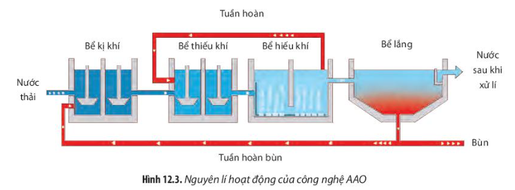 Chuyên đề Sinh học 10 Bài 12 (Chân trời sáng tạo): Công nghệ ứng dụng vi sinh vật trong xử lí ô nhiễm môi trường  (ảnh 1)