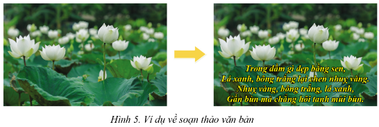 Chuyên đề Tin học 10 Bài 1 (Cánh diều): Tóm tắt các khả năng của hệ soạn thảo văn bản  (ảnh 1)