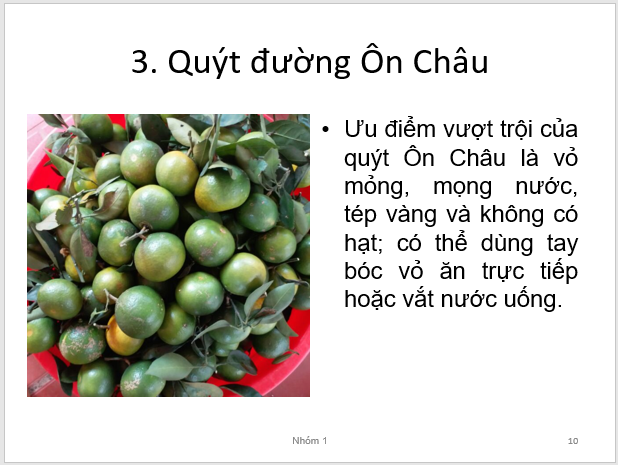 Chuyên đề Tin học 10 (Cánh diều) Dự án của chuyên đề: Thực hành sử dụng phần mềm trình chiếu  (ảnh 1)