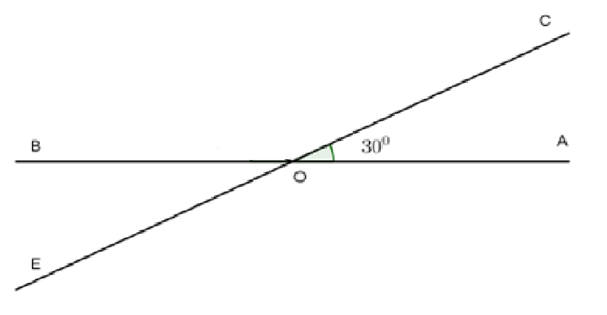 TOP 20 câu Trắc nghiệm Góc ở vị trí đặc biệt. Tia phân giác của 1 góc - Toán 7 Kết nối tri thức (ảnh 1)