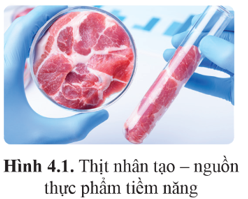 Chuyên đề Sinh học 10 Bài 4 (Cánh diều): Cơ sở công nghệ tế bào động vật và ứng dụng  (ảnh 1)