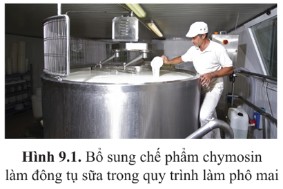 Chuyên đề Sinh học 10 Bài 9 (Cánh diều): Sản xuất enzyme tái tổ hợp (ảnh 1)