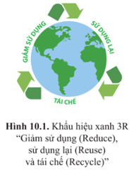 Chuyên đề Sinh học 10 Bài 10 (Cánh diều): Ứng dụng và triển vọng của công nghệ enzyme  (ảnh 1)