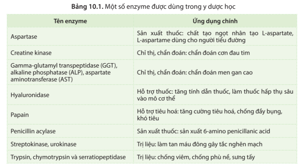 Chuyên đề Sinh học 10 Bài 10 (Cánh diều): Ứng dụng và triển vọng của công nghệ enzyme  (ảnh 1)