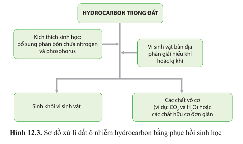 Chuyên đề Sinh học 10 Bài 12 (Cánh diều): Công nghệ ứng dụng vi sinh vật trong xử lí ô nhiễm môi trường đất, nước  (ảnh 1)