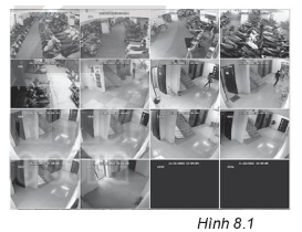 Sách bài tập Tin học 10 Bài 8 (Kết nối tri thức): Mạng máy tính trong cuộc sống hiện đại (ảnh 1)