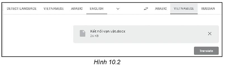 Sách bài tập Tin học 10 Bài 10 (Kết nối tri thức): Thực hành khai thác tài nguyên trên internet (ảnh 1)