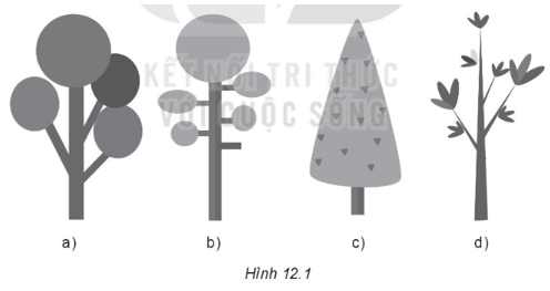 Sách bài tập Tin học 10 Bài 12 (Kết nối tri thức): Phần mềm thiết kế đồ họa (ảnh 1)