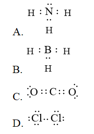 Sách bài tập Hóa học 10 Bài 10 (Kết nối tri thức): Quy tắc octet  (ảnh 1)