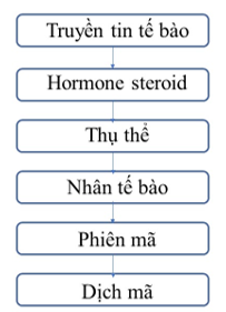 Sách bài tập Sinh học 10 Chương 3 (Kết nối tri thức): Trao đổi chất qua màng và truyền tin tế báo  (ảnh 1)