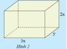 Toán 8 Bài 1 (Chân trời sáng tạo): Đơn thức và đa thức nhiều biến (ảnh 1)