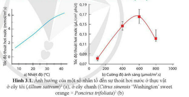 Lý thuyết Sinh học 11 Bài 3 (Cánh diều): Nhân tố ảnh hưởng đến trao đổi nước và khoáng ở thực vật (ảnh 1)