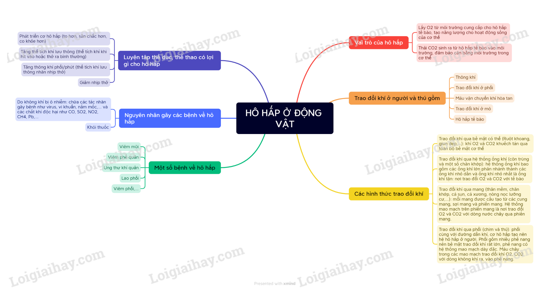 Lý thuyết Sinh học 11 Bài 7 (Cánh diều): Hô hấp ở động vật (ảnh 1)