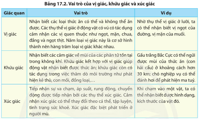 Lý thuyết Sinh học 11 Bài 17 (Chân trời sáng tạo): Cảm ứng ở động vật (ảnh 1)