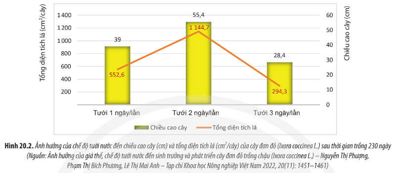 Lý thuyết Sinh học 11 Bài 20 (Chân trời sáng tạo): Sinh trưởng và phát triển ở thực vật (ảnh 1)