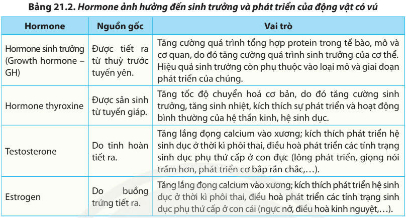 Lý thuyết Sinh học 11 Bài 21 (Chân trời sáng tạo): Sinh trưởng và phát triển ở động vật (ảnh 1)