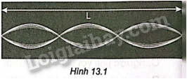 Sách bài tập Vật lí 11 Bài 13 (Kết nối tri thức): Sóng dừng (ảnh 1)