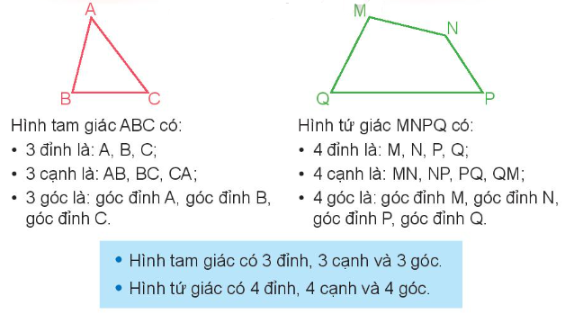 Lý thuyết Hình tam giác, hình tứ giác. Hình chữ nhật, hình vuông (Kết nối tri thức 2022) hay, chi tiết | Toán lớp 3 (ảnh 1)