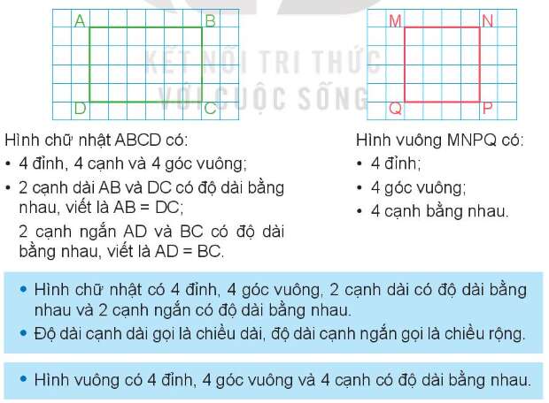 Lý thuyết Hình tam giác, hình tứ giác. Hình chữ nhật, hình vuông (Kết nối tri thức 2022) hay, chi tiết | Toán lớp 3 (ảnh 2)