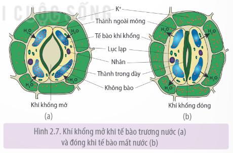  (ảnh 5)