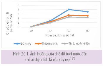  (ảnh 1)