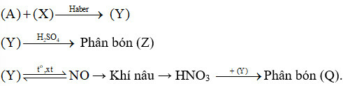 Giải SBT Hóa 11 (Chân trời sáng tạo) Ôn tập chương 2 trang 31 (ảnh 1)