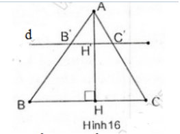 Giải Câu 10 Bài 2: Định lí đảo và hệ quả của định lí Ta-lét - sgk Toán 8 tập 2 Trang 63