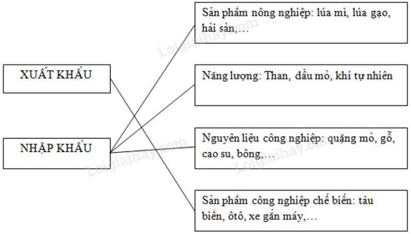 SBT Địa lí 11 Bài 9 Tiết 2: Các ngành kinh tế và các vùng kinh tế | Giải SBT Địa lí lớp 11 (ảnh 9)