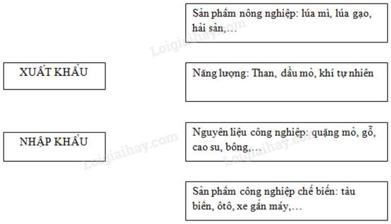 SBT Địa lí 11 Bài 9 Tiết 2: Các ngành kinh tế và các vùng kinh tế | Giải SBT Địa lí lớp 11 (ảnh 8)