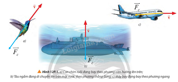 Vật Lí 10 Bài 12: Chuyển động của vật trong chất lưu | Giải Lí 10 Chân trời sáng tạo (ảnh 10)