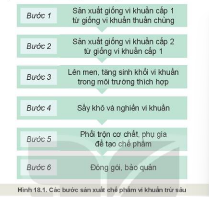 Lý thuyết Công Nghệ 10 Bài 18: Ứng dụng công nghệ vi sinh trong phòng trừ sâu, bệnh hại cây trồng - Kết nối tri thức (ảnh 1)