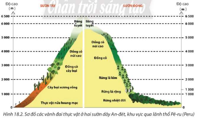 Địa Lí 10 Bài 18: Quy luật địa đới và quy luật phi địa đới | Chân trời sáng tạo (ảnh 2)