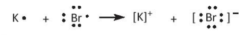 Sách bài tập Hóa học 10 Bài 10 (Kết nối tri thức): Quy tắc octet  (ảnh 1)